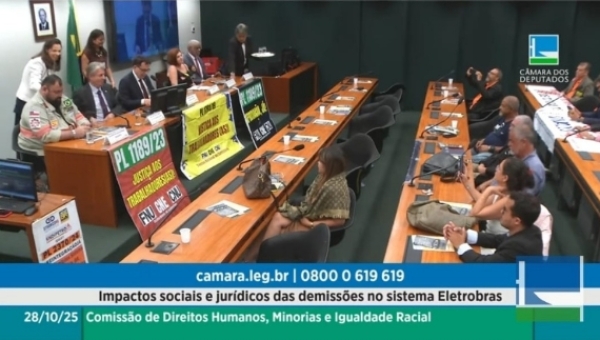 Audiência Pública da Comissão de Anistia dos demitidos do PAQ-2020